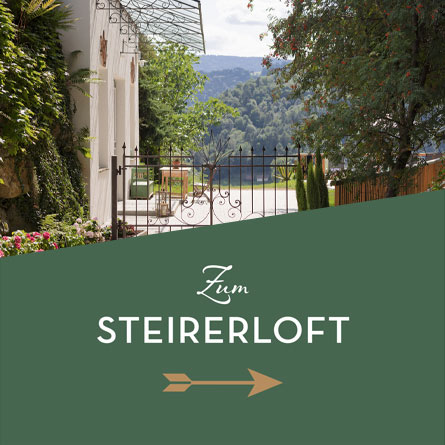 Faber Chalet - Steirerloft